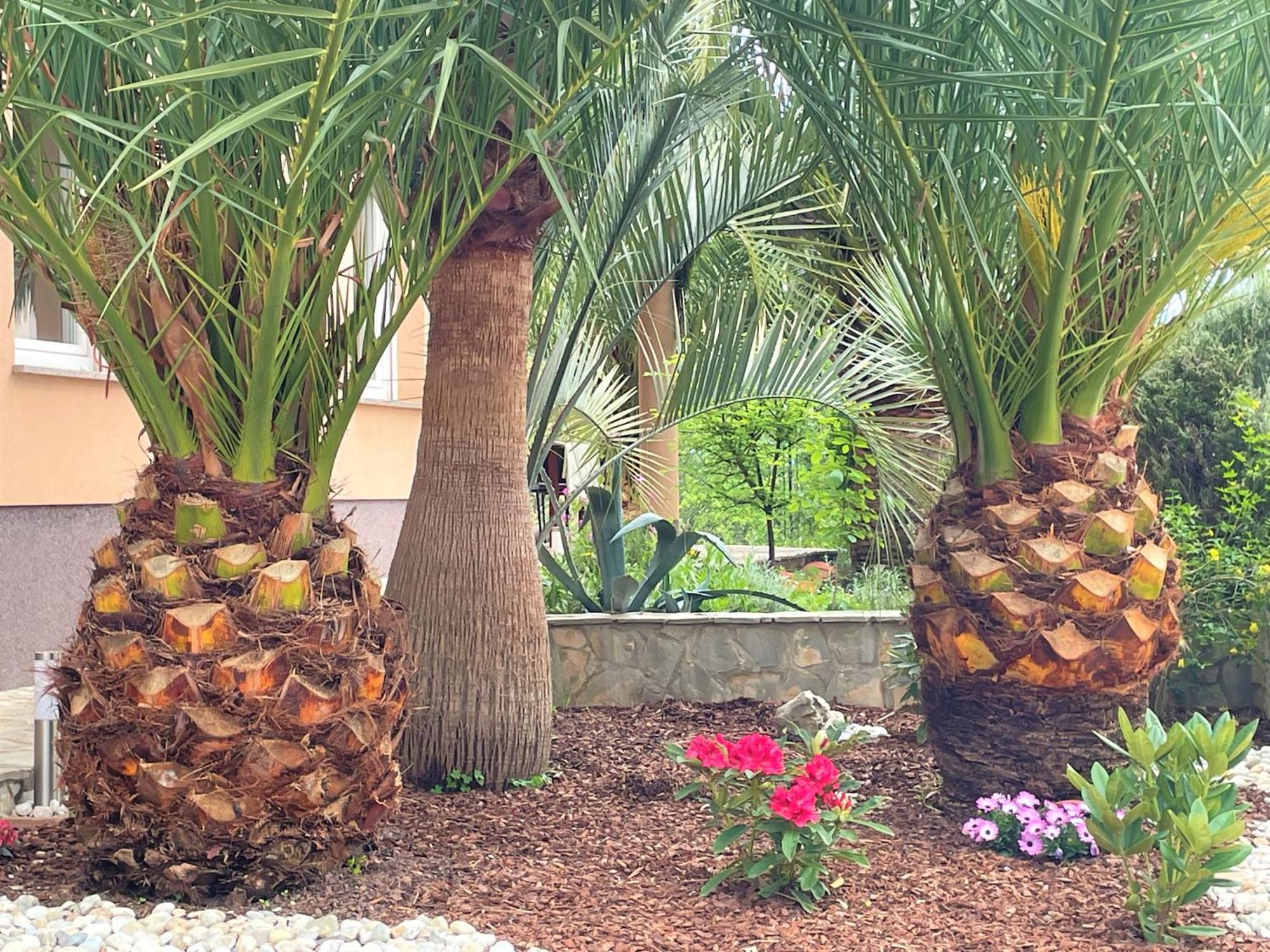 Grand Pool Apartment Ika-Opatija Dış mekan fotoğraf